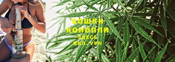 первитин Дмитриев