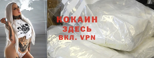 первитин Дмитриев