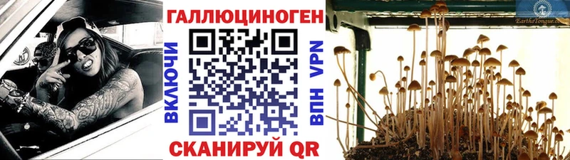 где продают наркотики  Шагонар  Псилоцибиновые грибы Magic Shrooms 